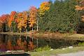 fall 044